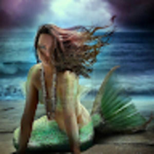 Meet your Posher, Mic